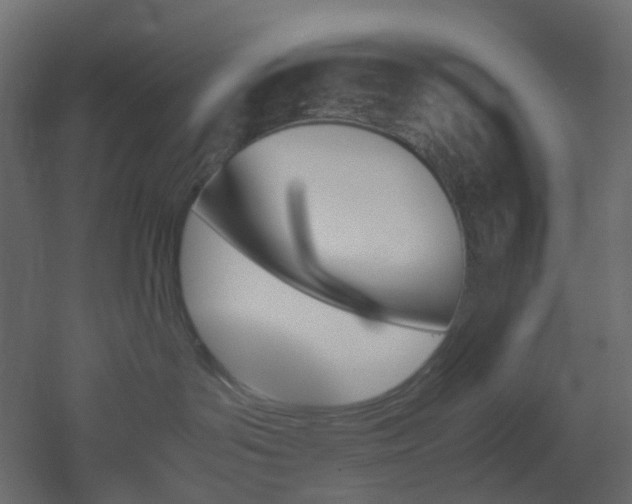 X0000051910143200506241452