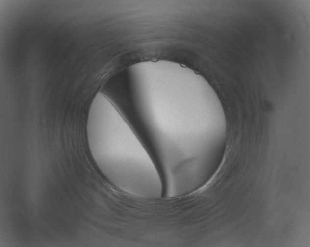 X0000051910144200506241452