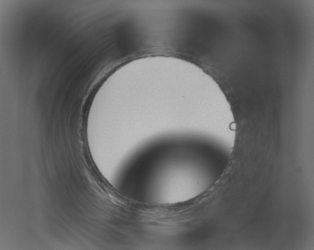 X0000051910146200506241452