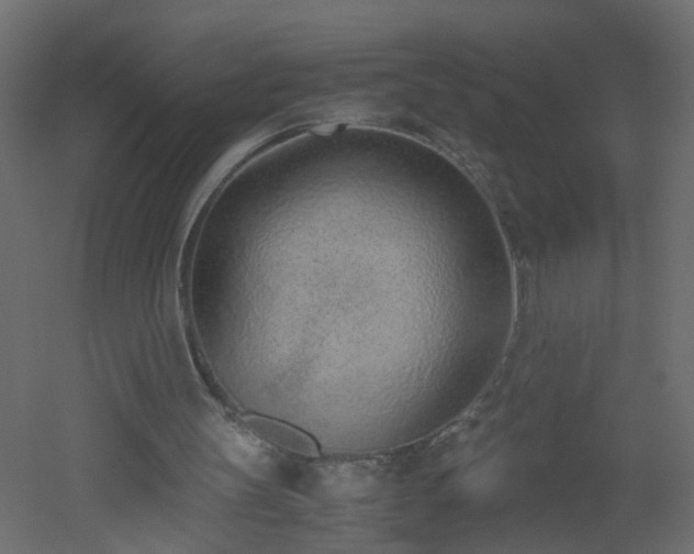 X0000051910147200506241452