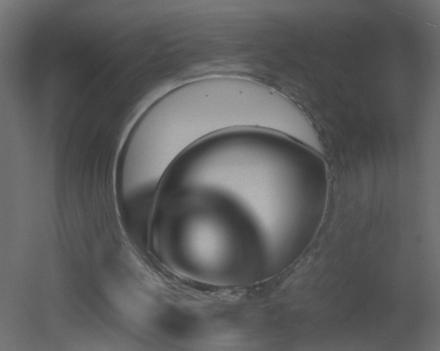 X0000051910148200506241452