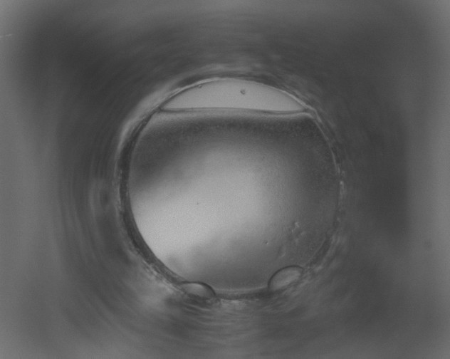 X0000051910149200506241452