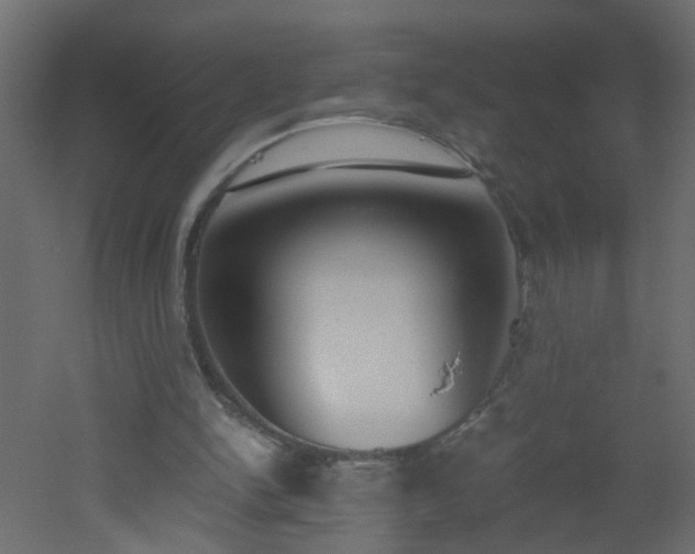 X0000051910150200506241452