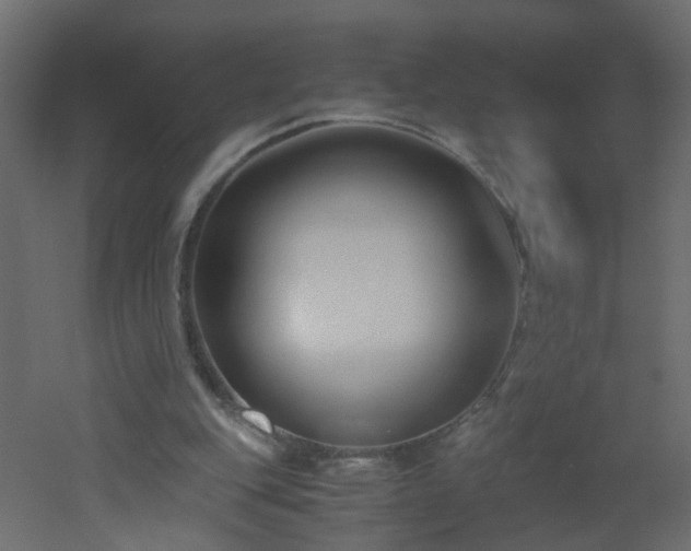 X0000051910151200506241452