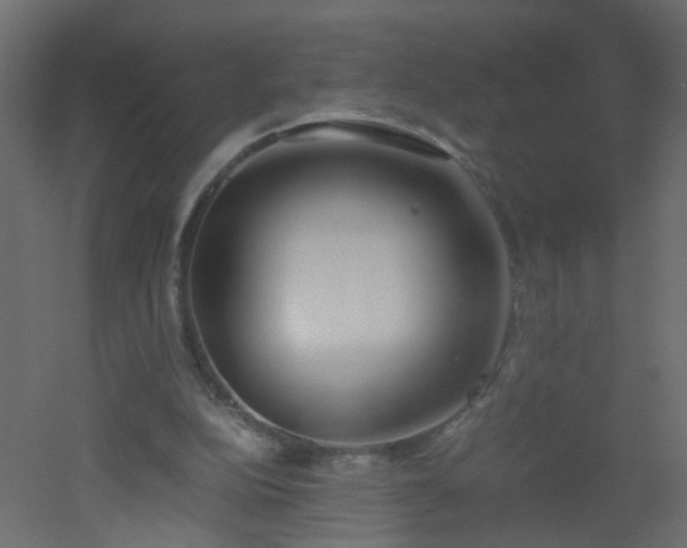 X0000051910152200506241452