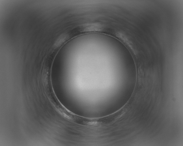 X0000051910153200506241452