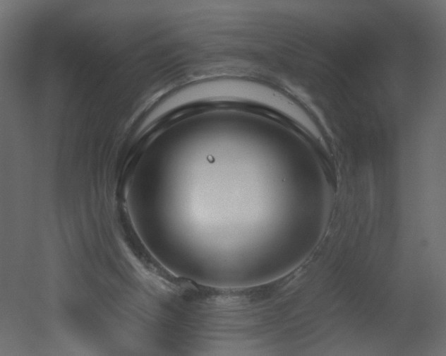 X0000051910154200506241452