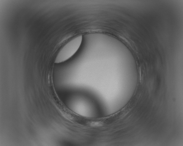 X0000051910157200506241452