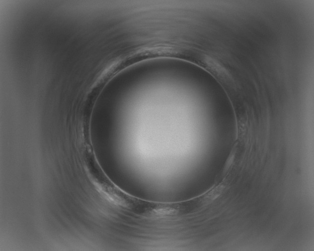 X0000051910158200506241452