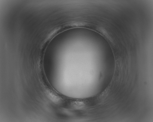 X0000051910159200506241452