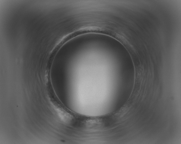 X0000051910160200506241452