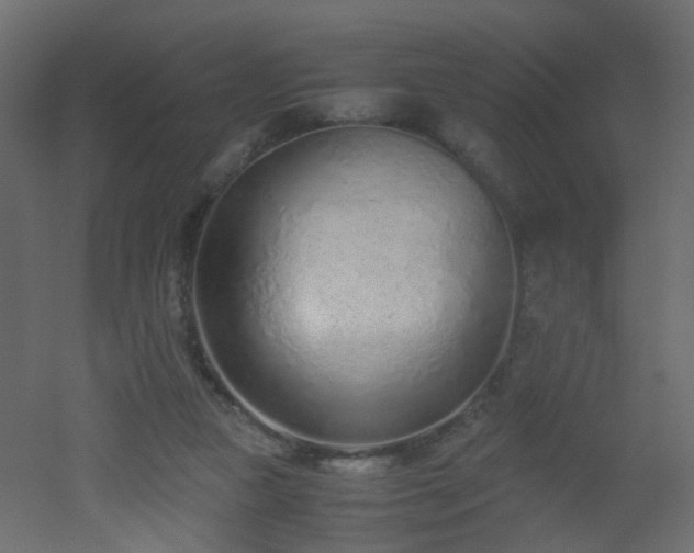 X0000051910161200506241452