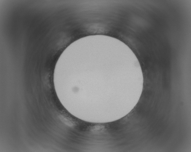 X0000051910162200506241452