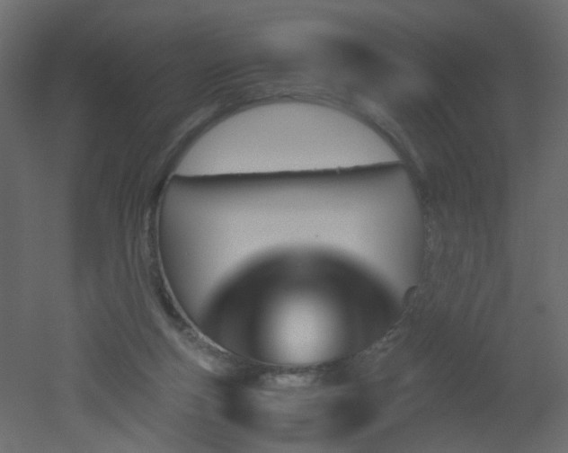 X0000051910163200506241452