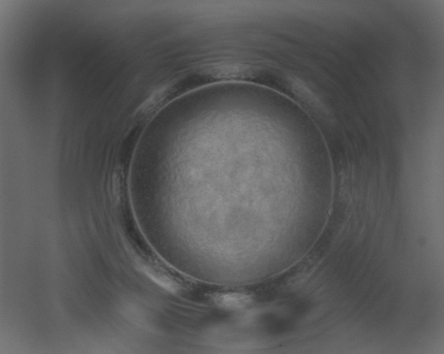 X0000051910165200506241452