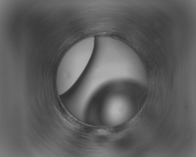 X0000051910166200506241452