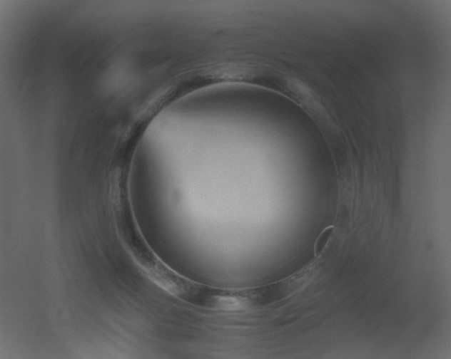 X0000051910167200506241452