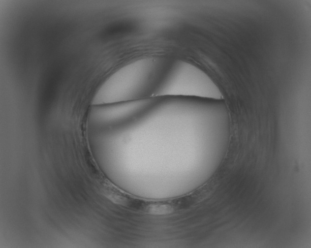 X0000051910169200506241452