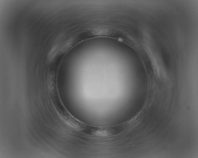 X0000051910171200506241452