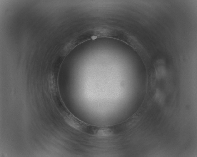 X0000051910173200506241452