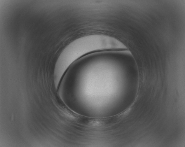 X0000051910174200506241452