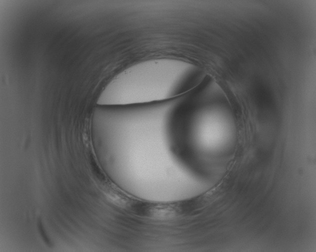 X0000051910175200506241452