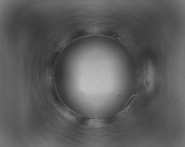 X0000051910179200506241452