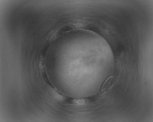 X0000051910181200506241452