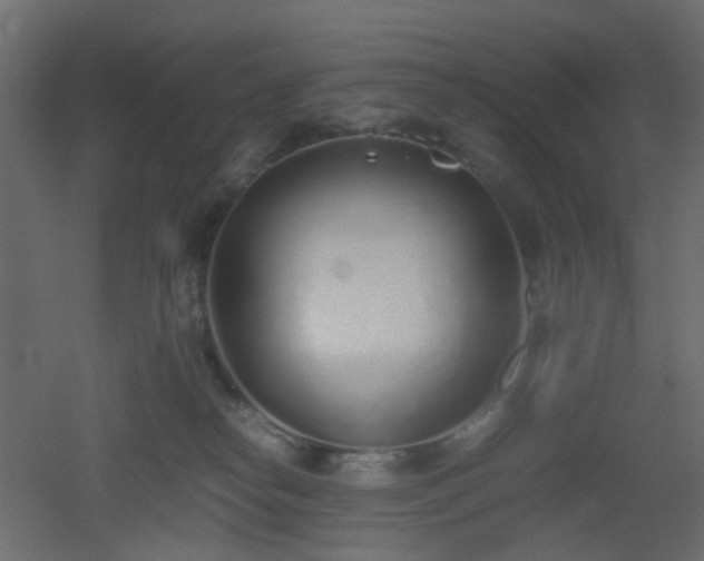 X0000051910182200506241452