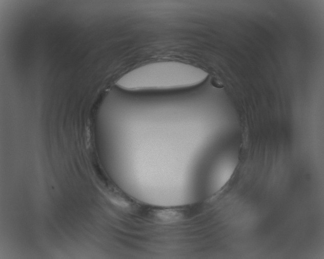 X0000051910183200506241452