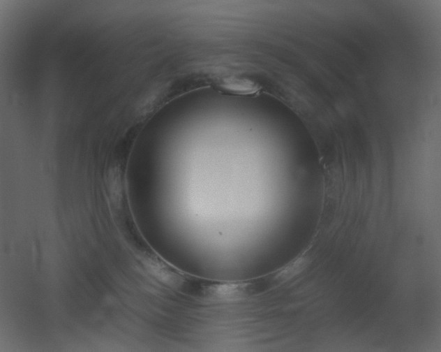 X0000051910184200506241452