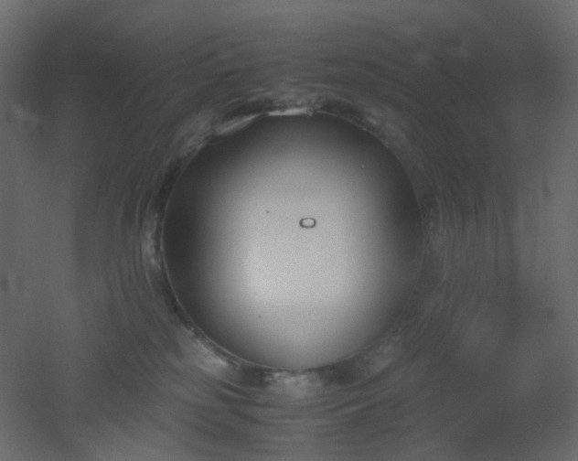 X0000051910185200506241452