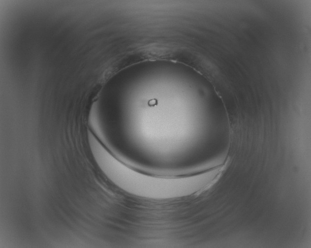 X0000051910186200506241452