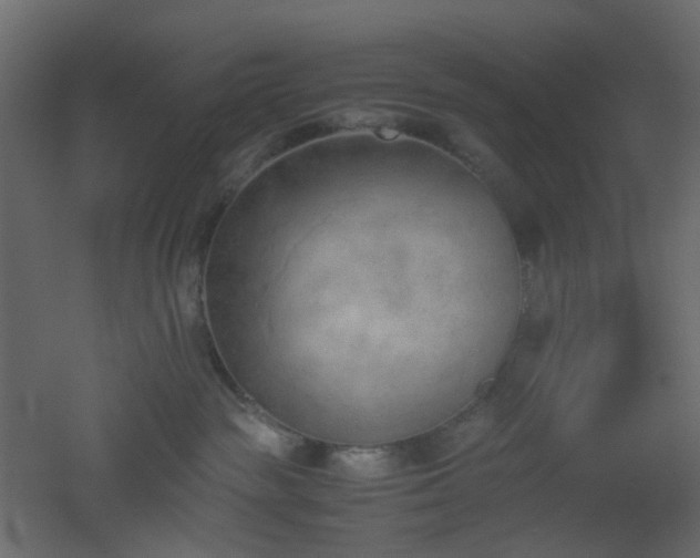 X0000051910189200506241452