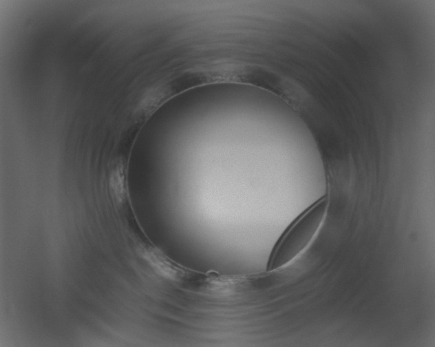 X0000051910190200506241452