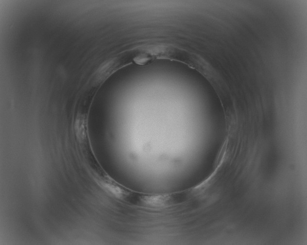 X0000051910191200506241452