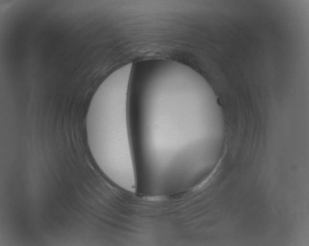 X0000051910192200506241452