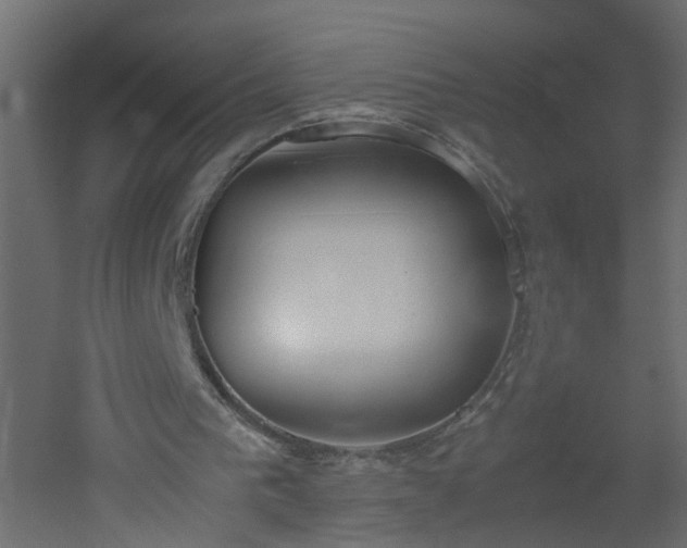 X0000051910193200506241452