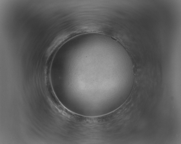 X0000051910194200506241452