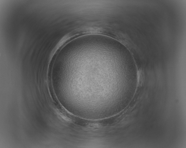 X0000051910195200506241452