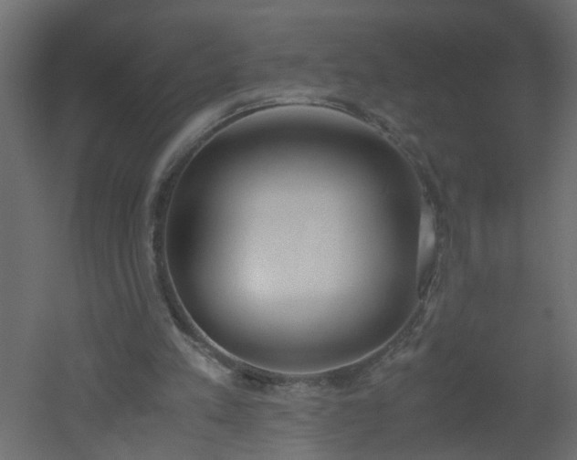 X0000051910197200506241452