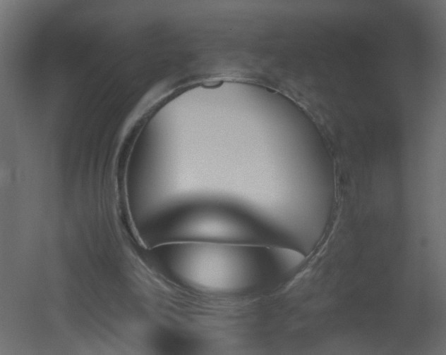 X0000051910198200506241452