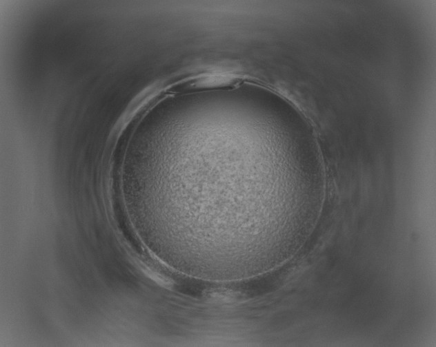 X0000051910199200506241452