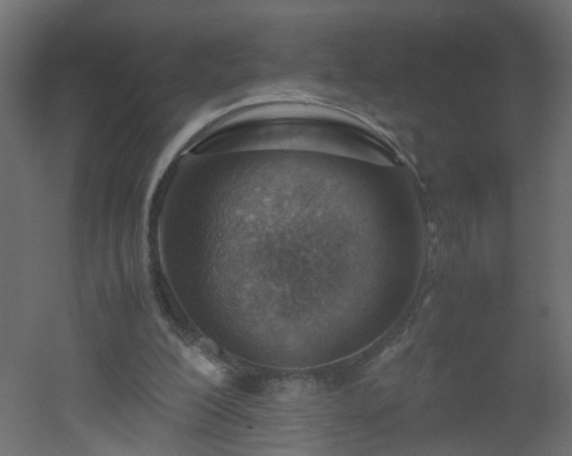 X0000051910200200506241452