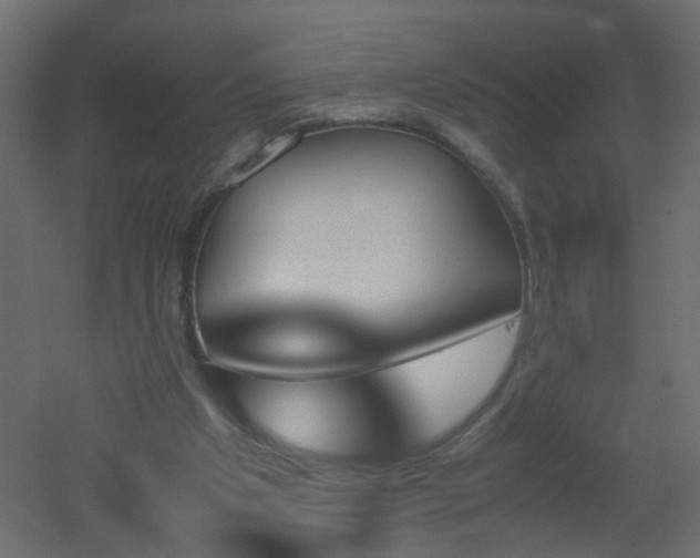 X0000051910201200506241451