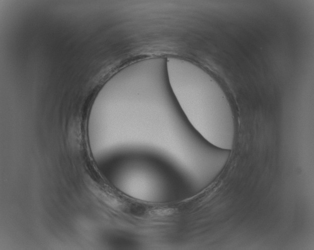 X0000051910202200506241451