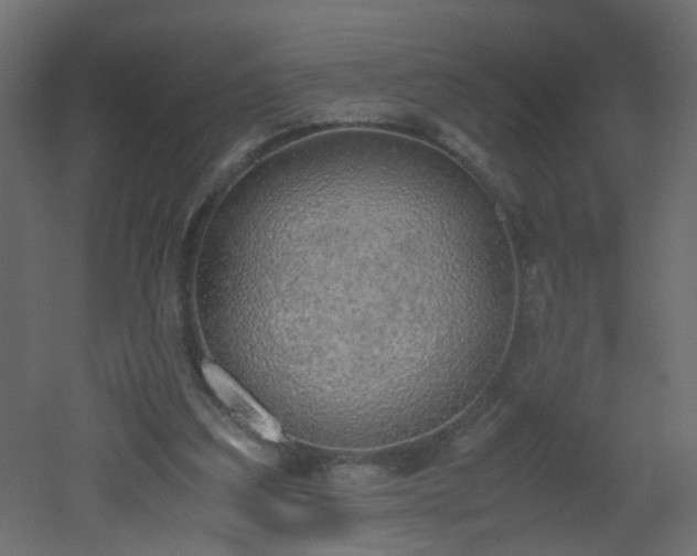 X0000051910203200506241451