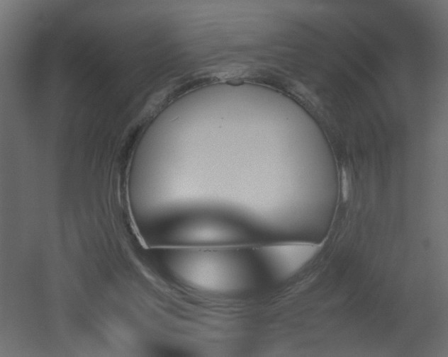 X0000051910205200506241451