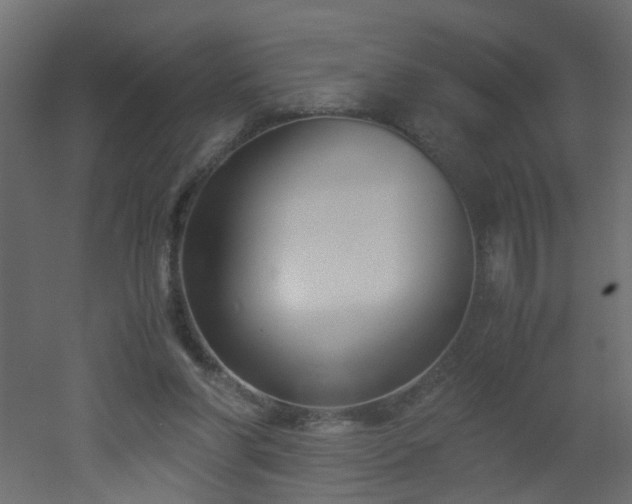 X0000051910206200506241451