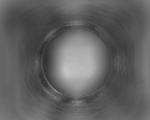 X0000051910208200506241451